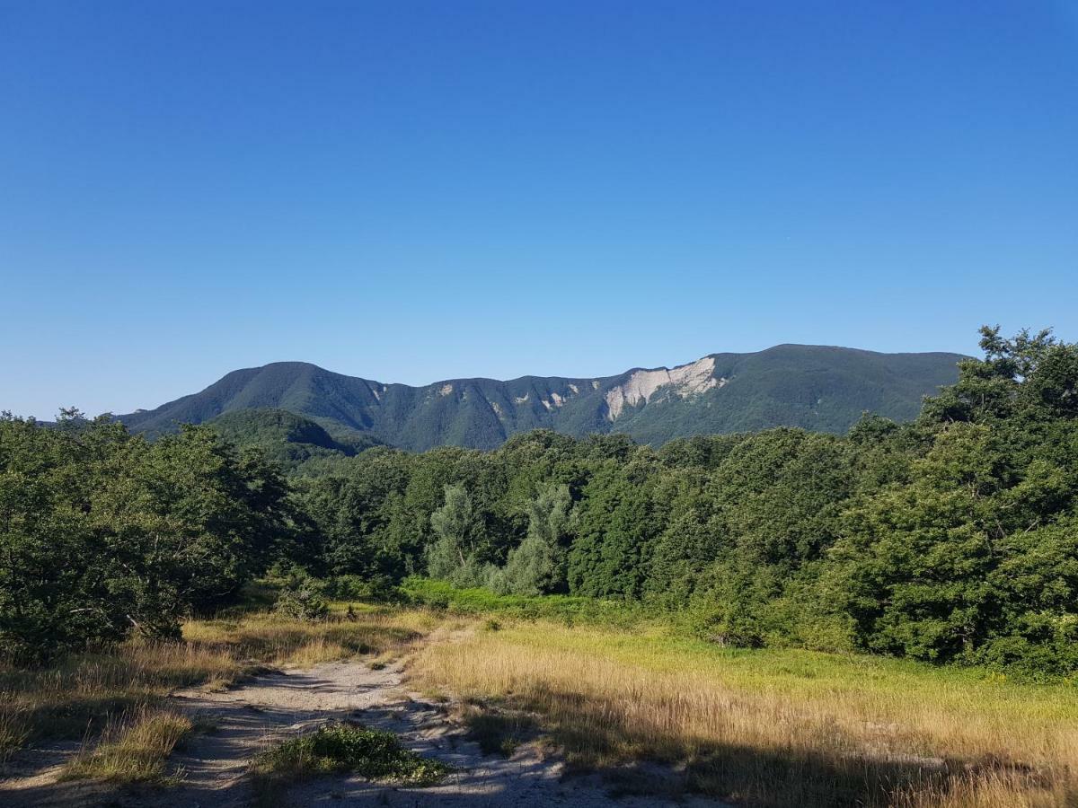 Alla Battuta Sansepolcro Luaran gambar
