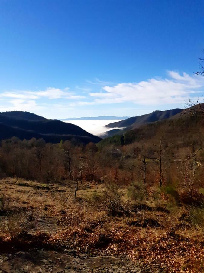 Alla Battuta Sansepolcro Luaran gambar